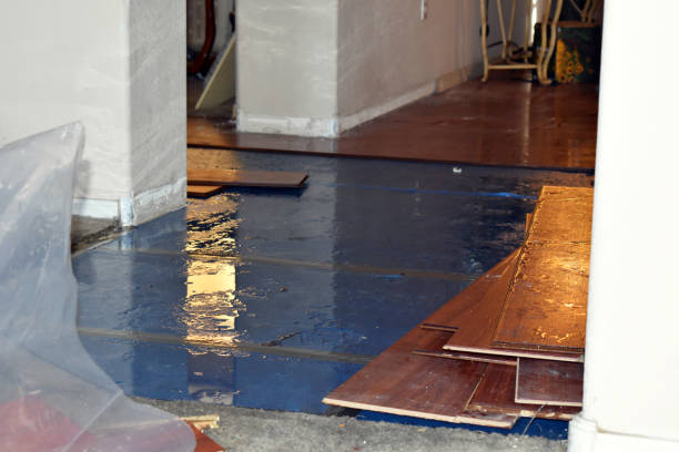 Professional Sewage Cleanup technician working in Helena, OH